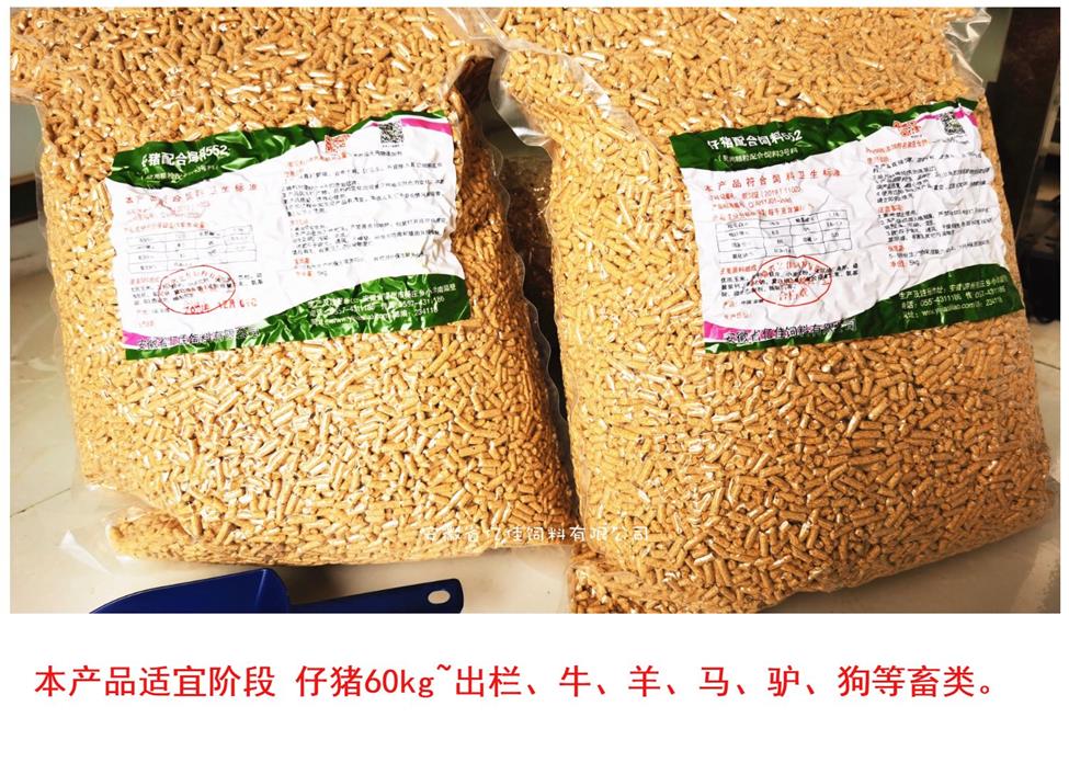 仔豬全價配合飼料顆粒