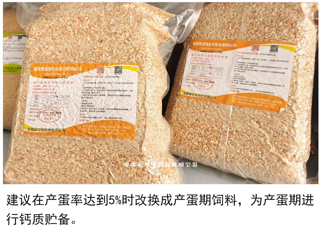 蛋雞育成期全價配合飼料